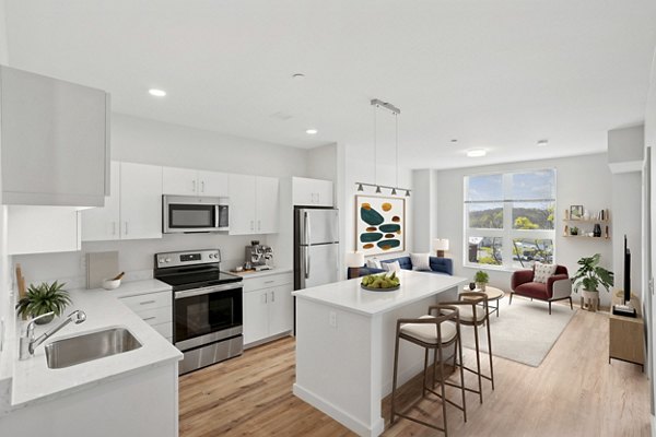 kitchen at The Block at Odell Apartments