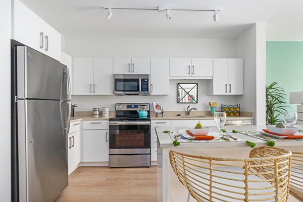 kitchen at Canvas Apartments