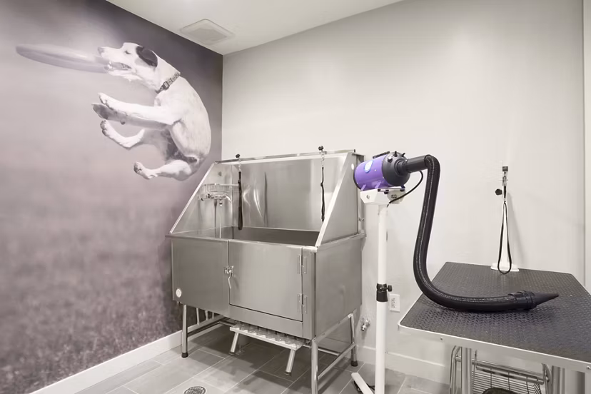 dog wash station at Flats at 131 Apartments 