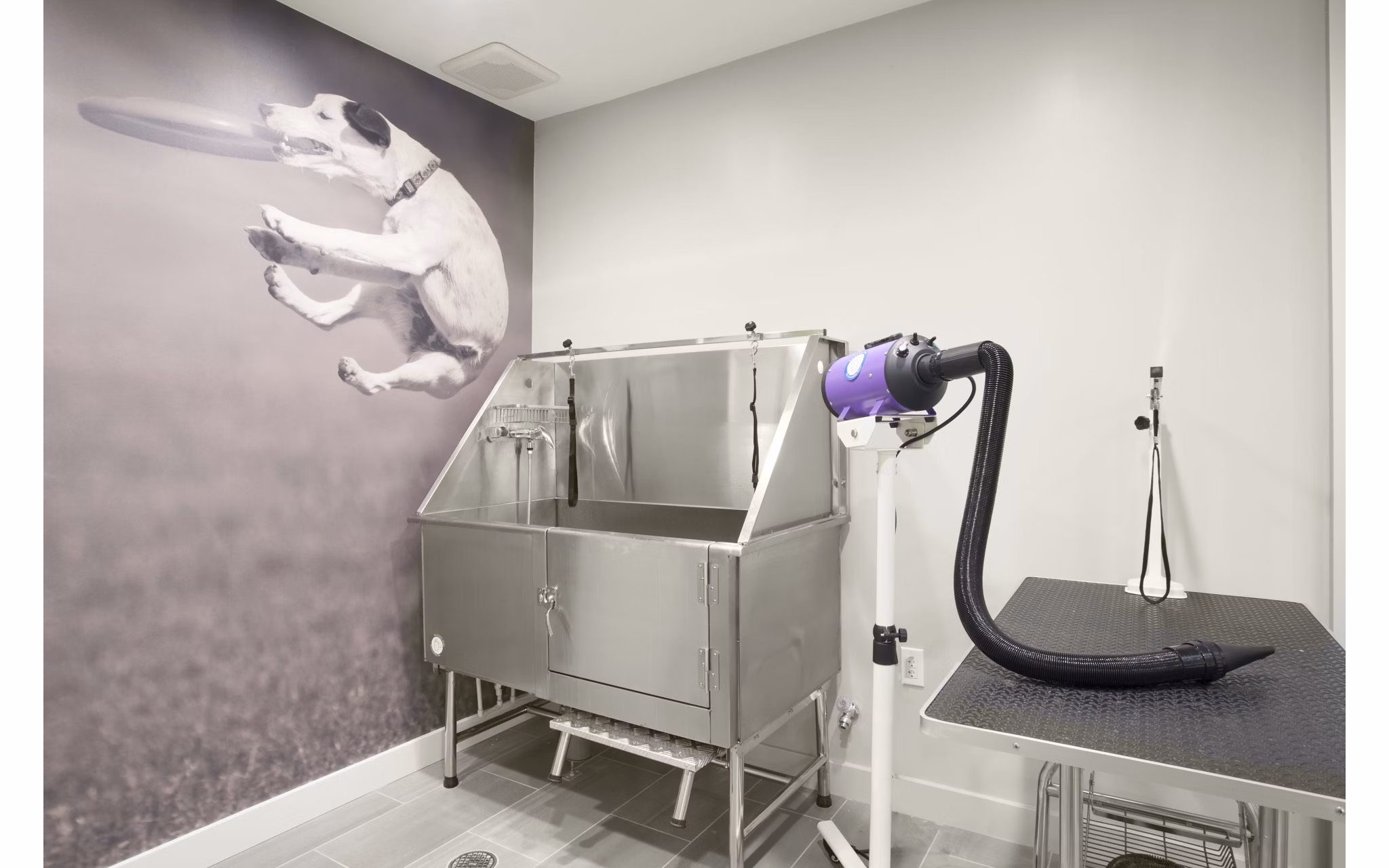 dog wash station at Flats at 131 Apartments 