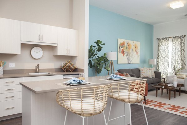 kitchen at Link 480 Apartments