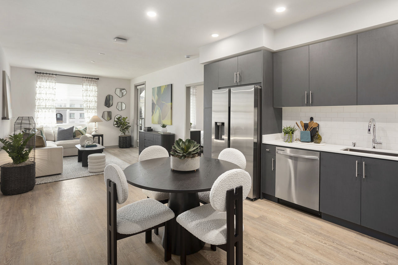 Alta Westwind 21 of 30