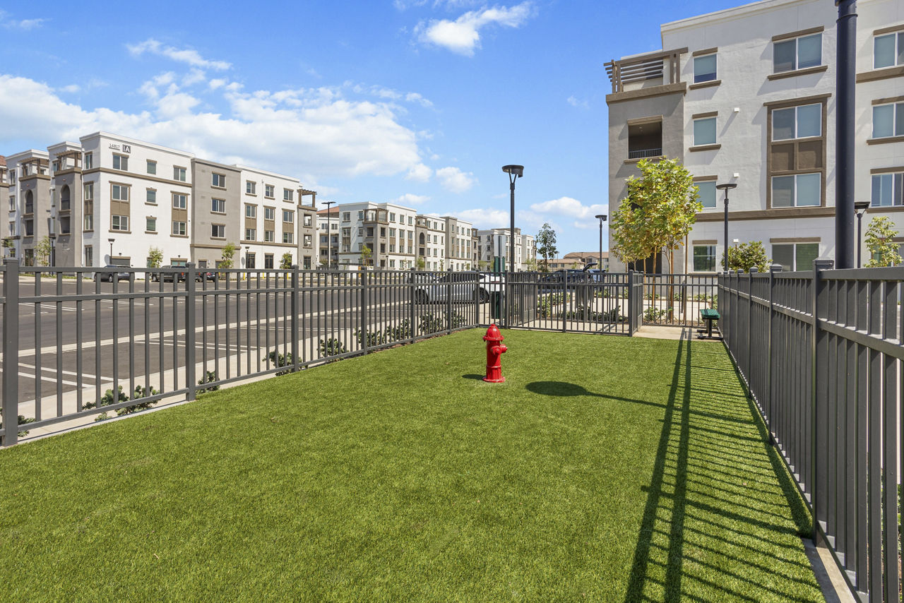 Dog park at Alta Westwind