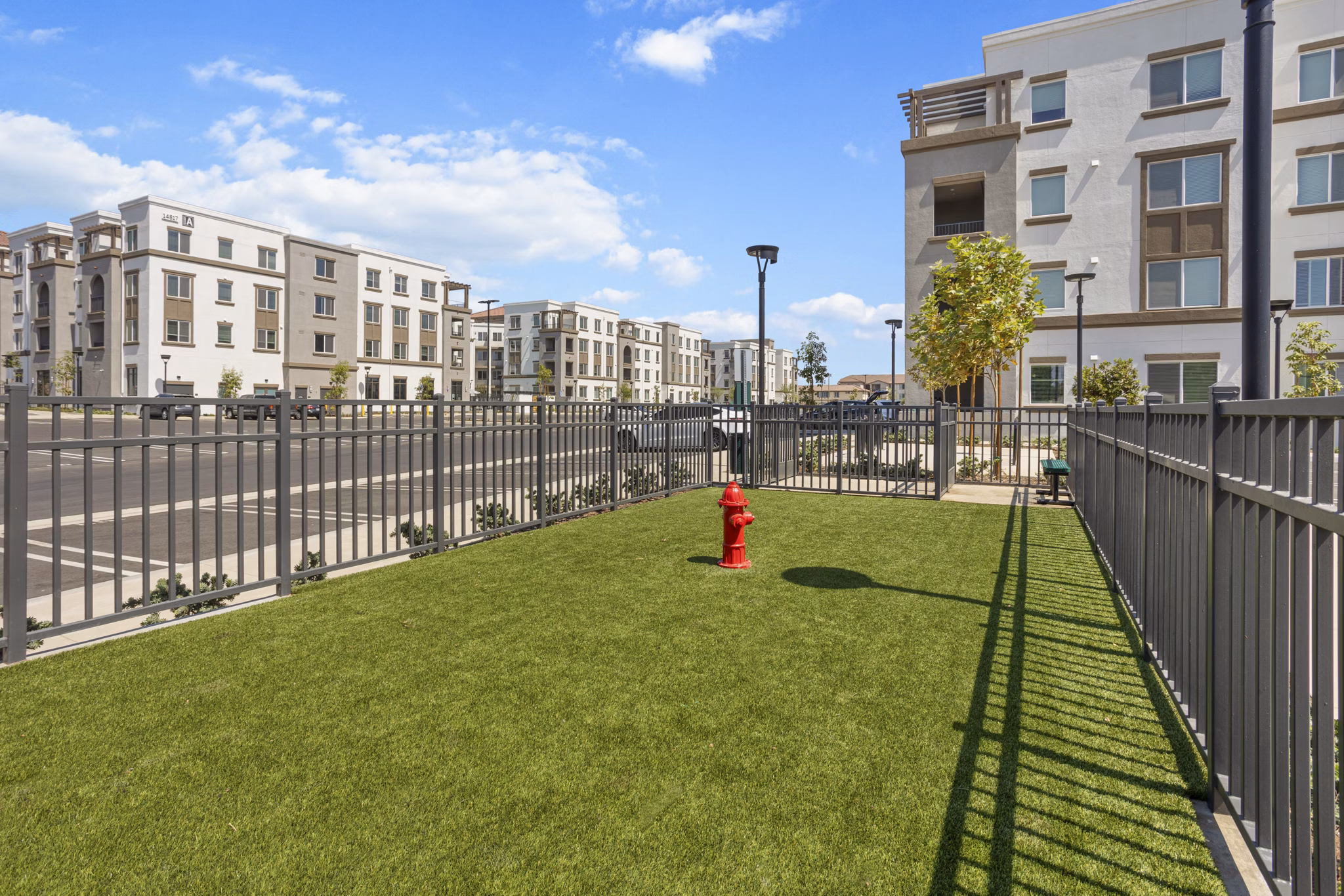 dog park at Alta Westwind Apartments