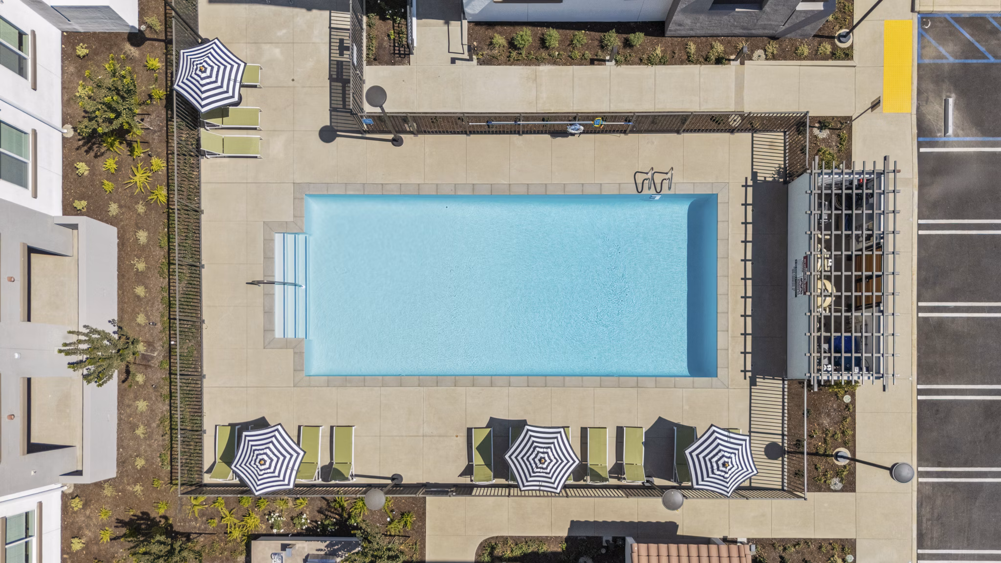 pool at Alta Westwind Apartments
