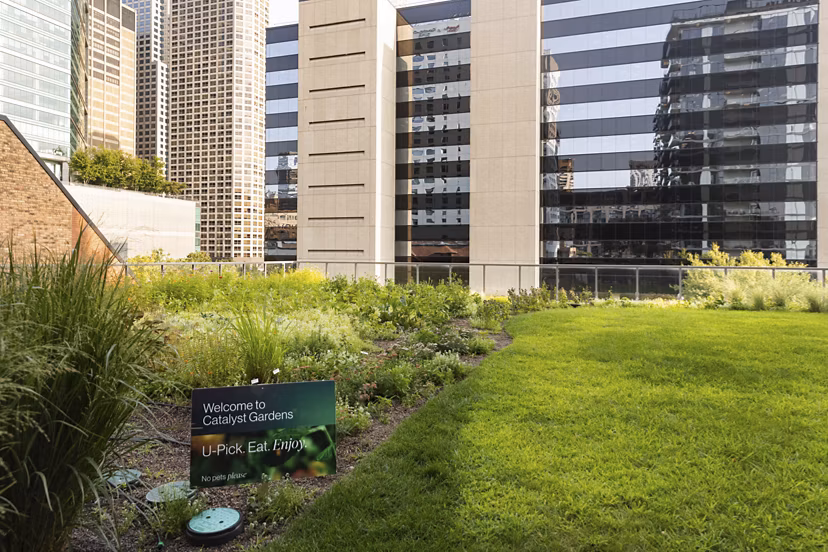 recreational area at Catalyst Apartments
