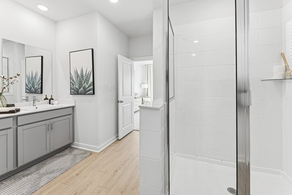 bathroom at Skymor Wesley Chapel Apartments