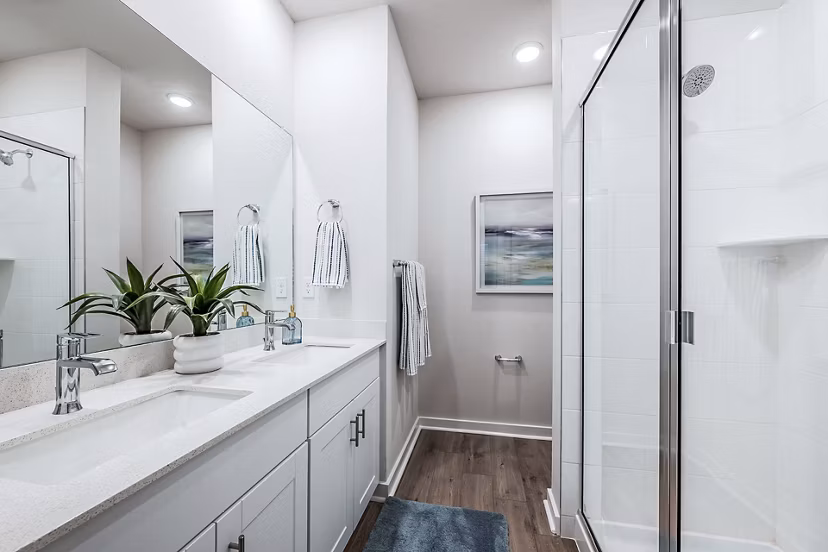 bathroom at SkyMor Wesley Chapel Apartments