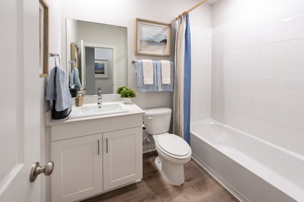 bathroom at Skymor Wesley Chapel Apartments