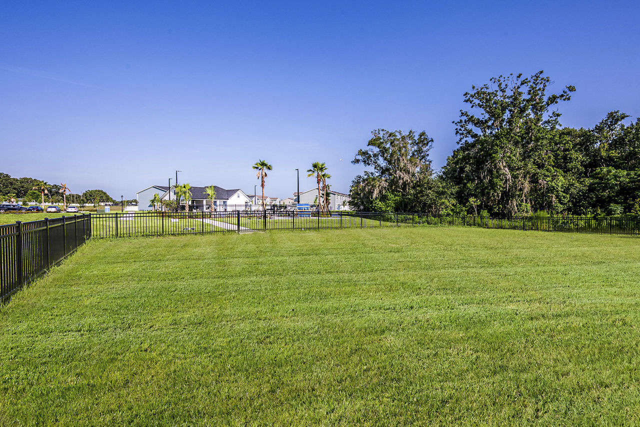 Skymor Wesley Chapel Wesley Chapel Fl 3 of 12