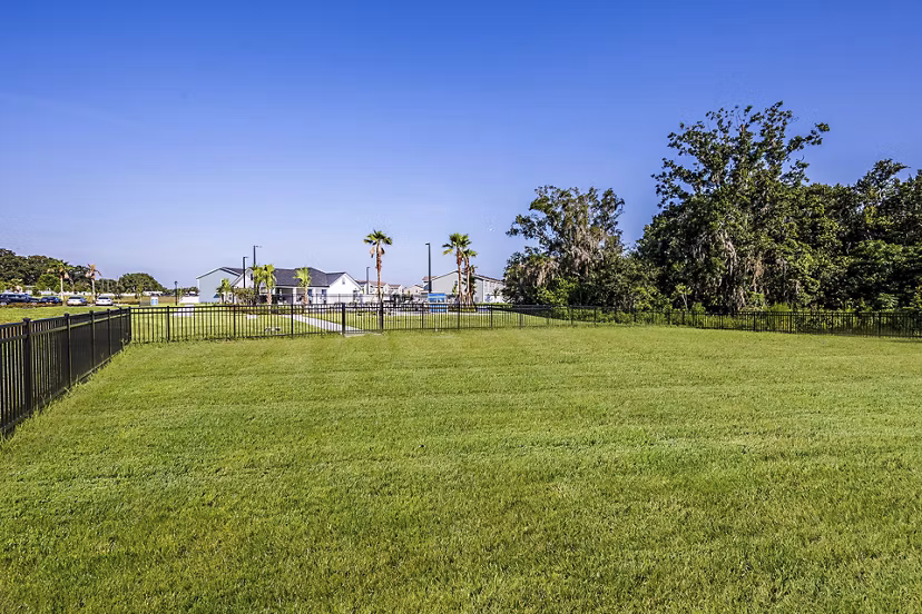 dog park at SkyMor Wesley Chapel Apartment Homes