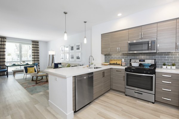 kitchen at The Triton Apartments