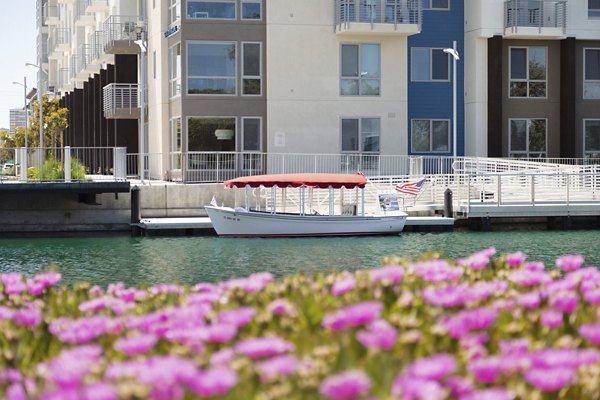neighborhood at The Triton Apartments