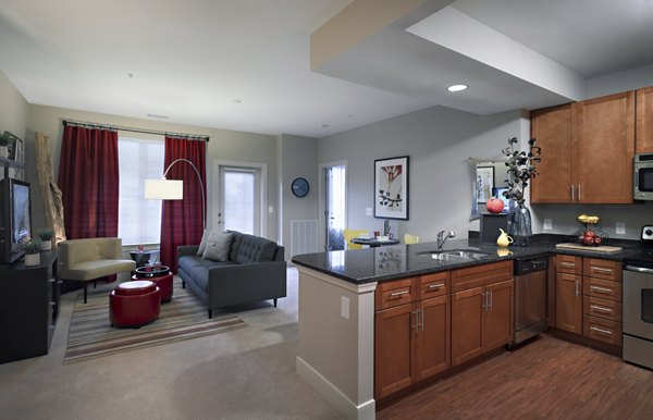 rendering at Aspire at Towne Place Apartments