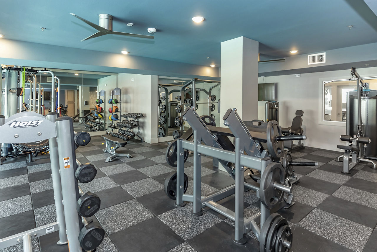 Gym at Highbridge At Egret Bay (1 of 2)