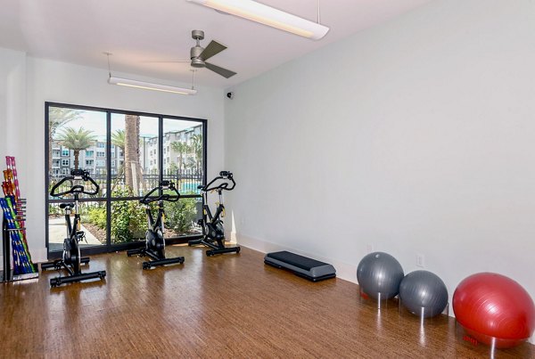 fitness center at Avana Parkway Apartments
