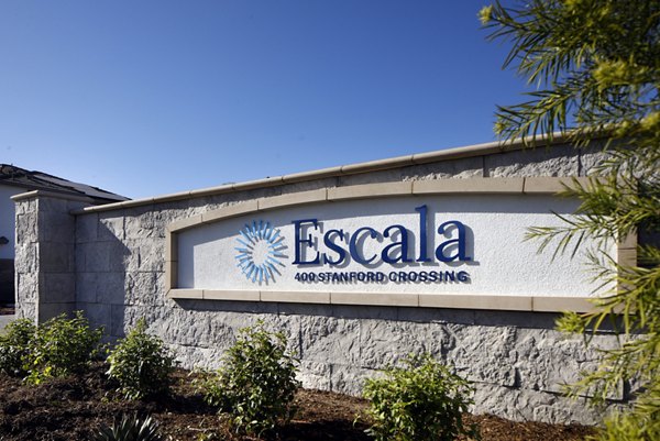 rendering for Escala at Stanford Crossing Apartments