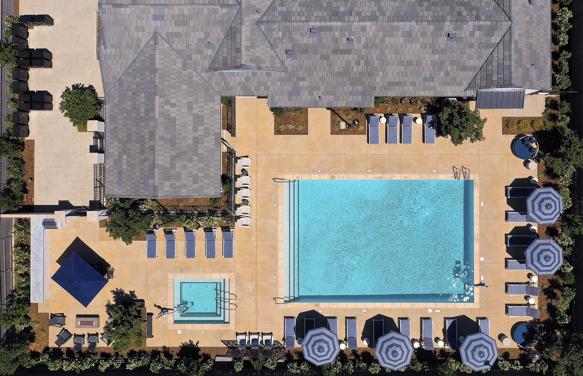 rendering at Escala at Stanford Crossing Apartments
