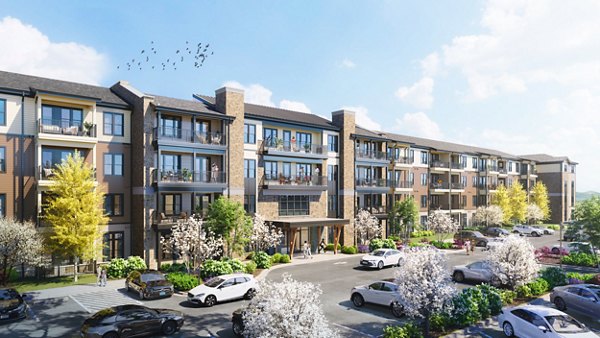 rendering at Chorus Asheville Apartments