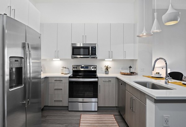 kitchen at RYE SoBo Apartments 