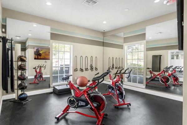 fitness center at Las Palmas Apartments 