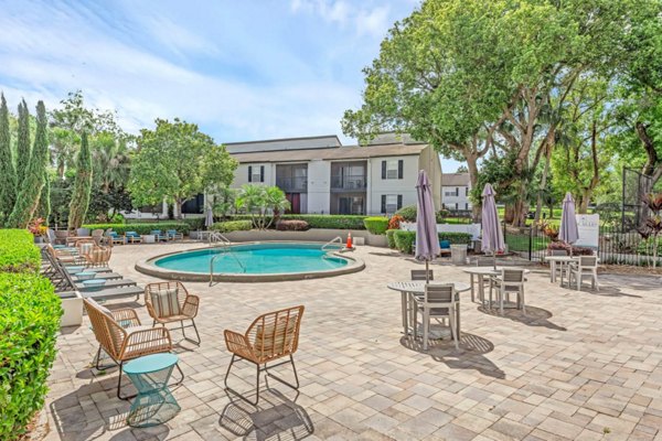 pool at Las Palmas Apartments 