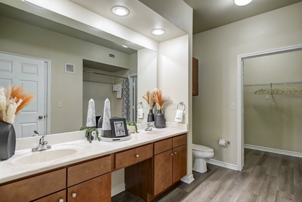 bathroom at Paramount at Cedar Lodge Apartments