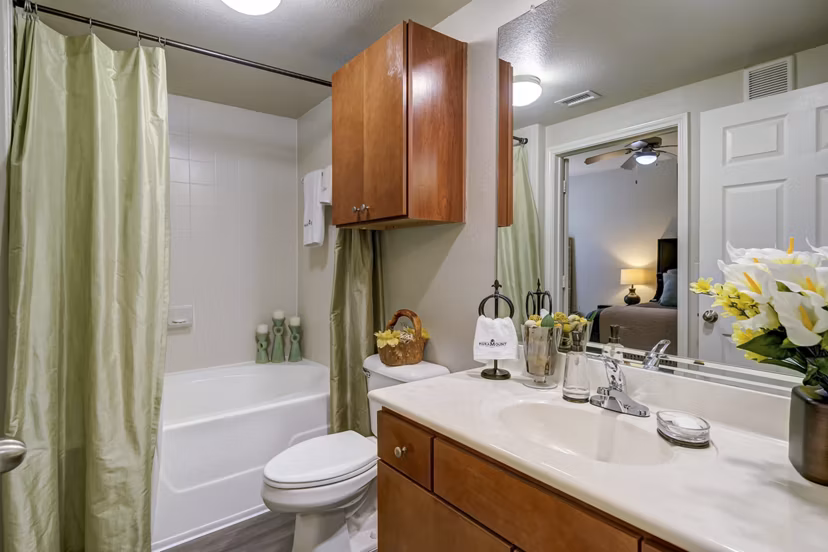 bathroom at Paramount at Cedar Lodge Apartments