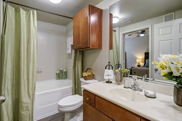 bathroom at Paramount at Cedar Lodge Apartments