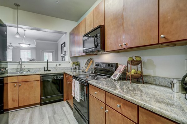 kitchen at Paramount at Cedar Lodge Apartments