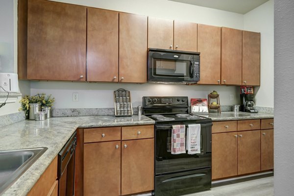 kitchen at Paramount at Cedar Lodge Apartments
