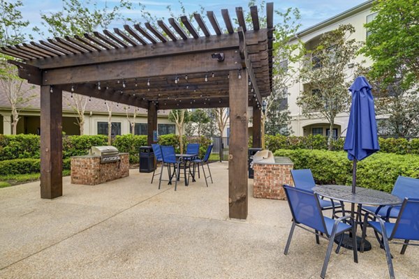 grill area at Paramount at Cedar Lodge Apartments