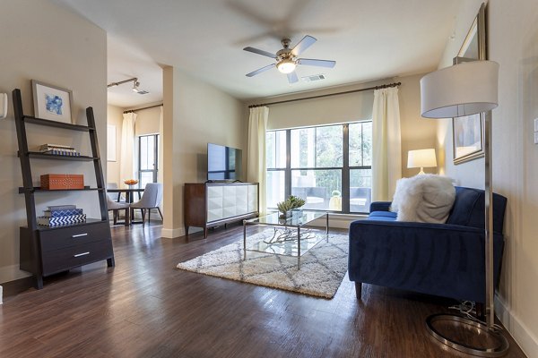 living room at Estates at Bee Cave Apartments