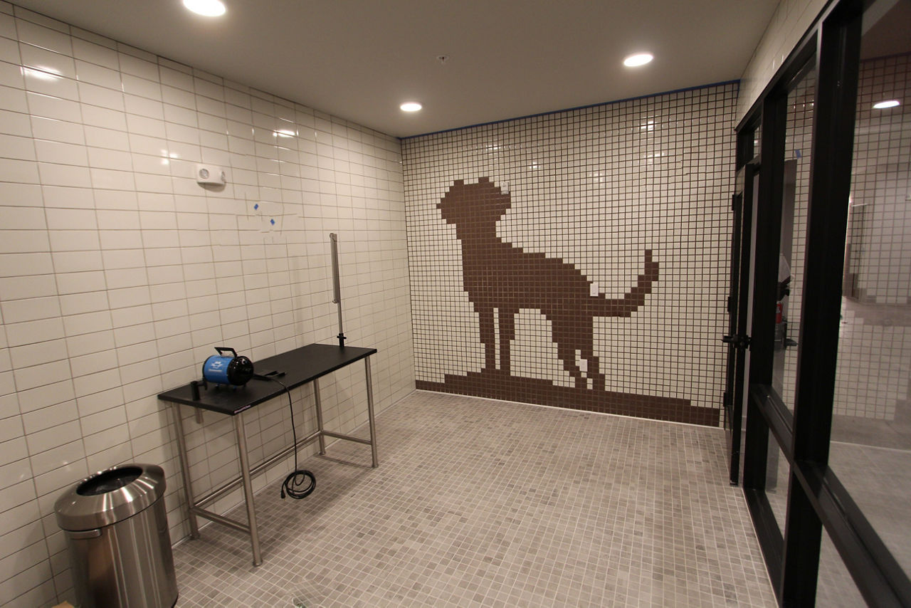 Pet wash at The View On Collins Apartments