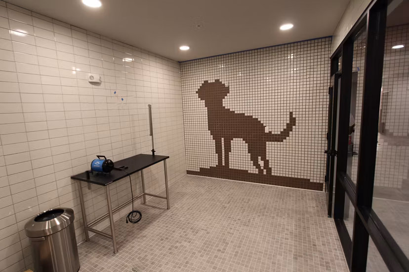 dog was station at The View on Collins Apartments
