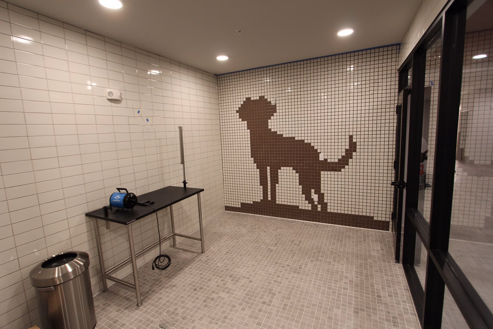 dog was station at The View on Collins Apartments