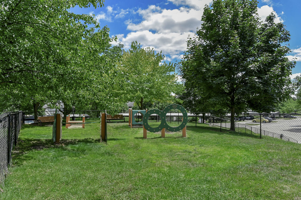 dog park at Villas at Northstar Apartments