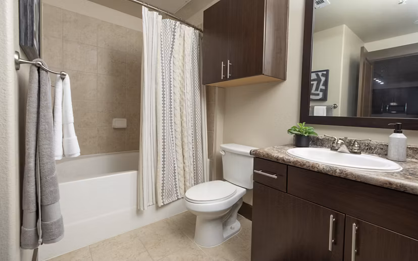 bathroom at Ten Pines at Summerwood Apartments 