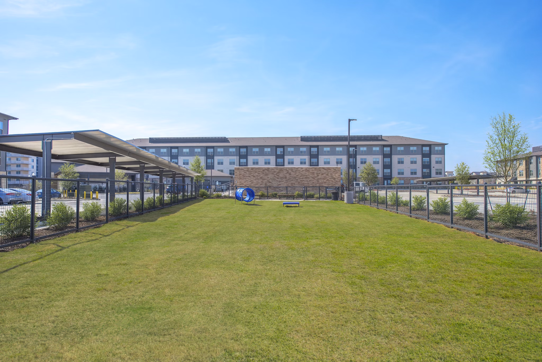 dog park at Alta Rayzor Ranch Apartments