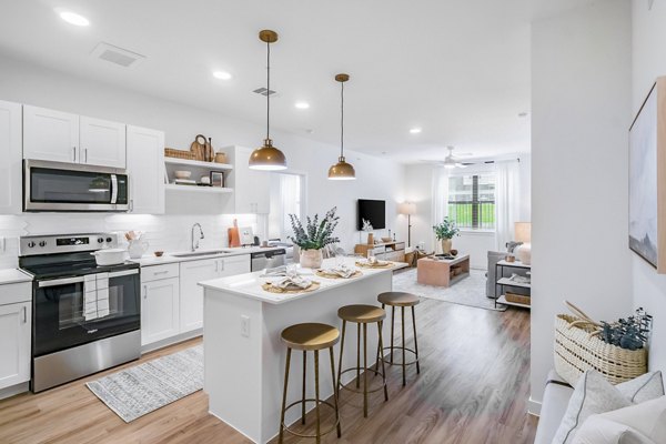 kitchen at Citizen House Blue Bluff Apartment