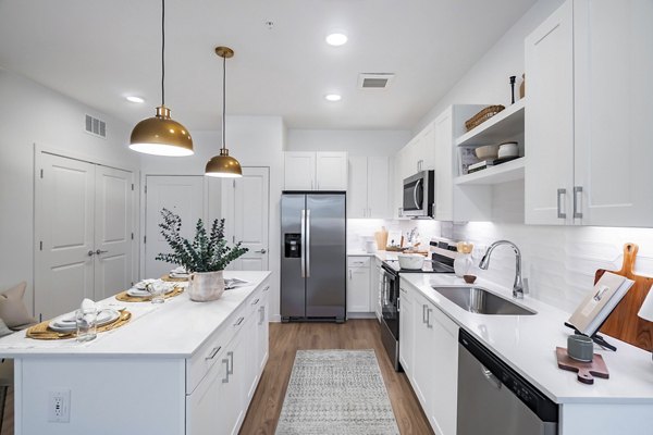 kitchen at Citizen House Blue Bluff Apartment