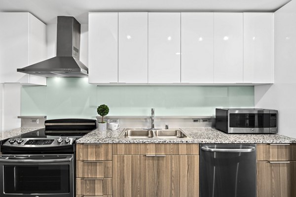 kitchen at Soma Towers Apartments
