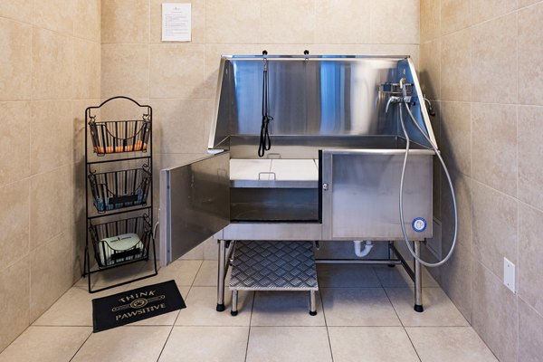 dog wash station at Soma Towers Apartments
