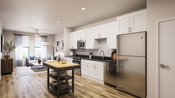 rendering for Birchway Quarry Falls Phase I Apartments