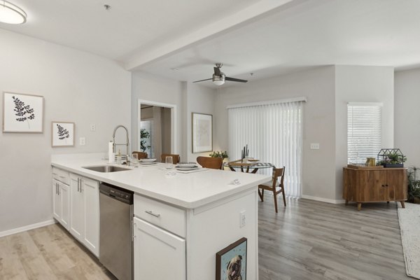kitchen at Monticello at Southport Apartments