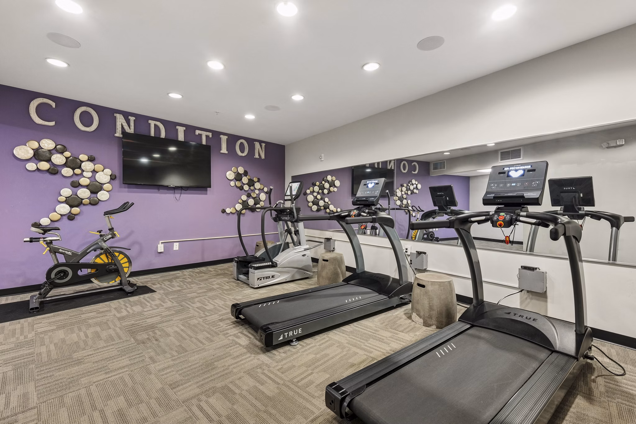 Fitness Center at Ayrsley Lofts Apartments
