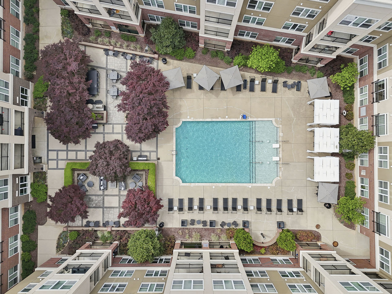 Ayrsley Lofts Apartments Charlotte Nc 4 of 12