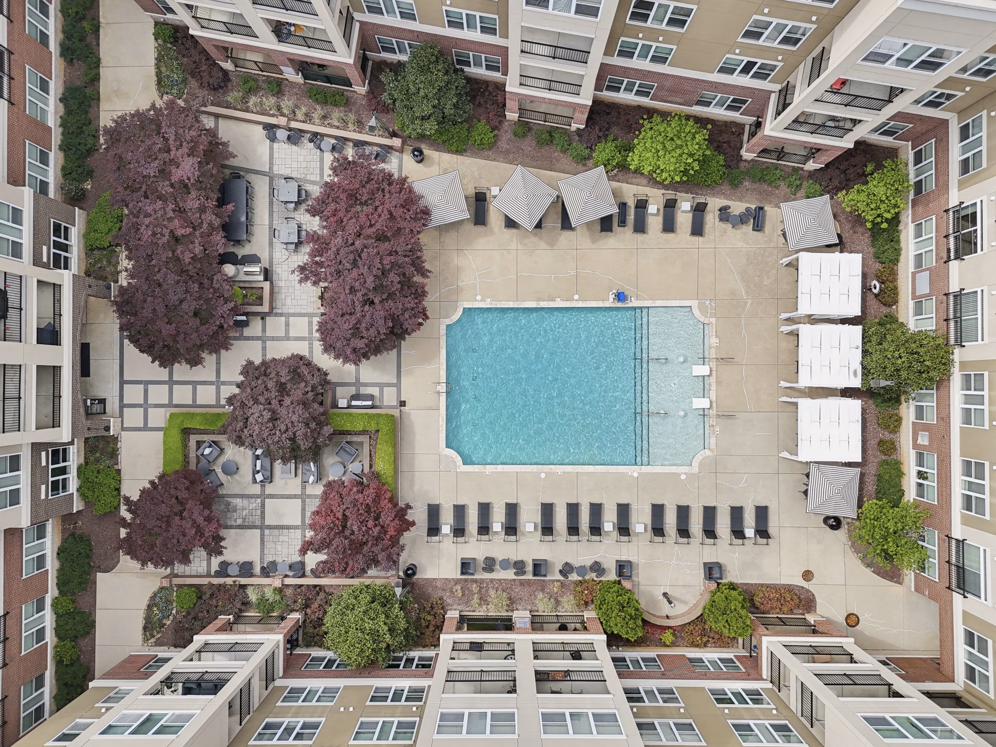 Pool at Ayrsley Lofts Apartments