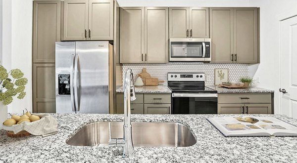 kitchen at Wellen Apartments