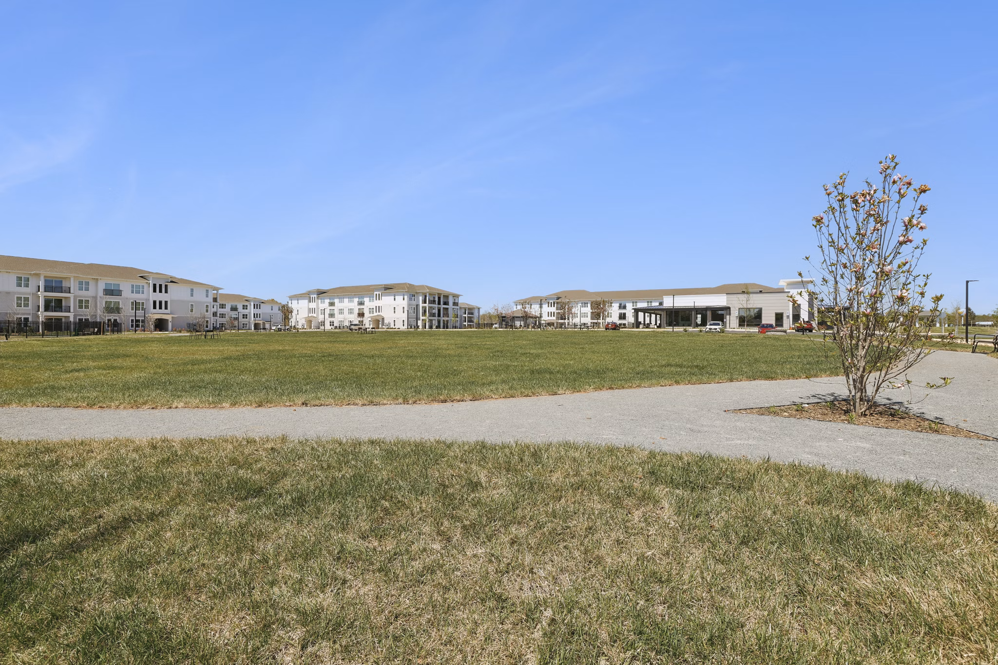 dog park at Rio Point Apartments